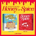 LIGHTSUM-album-Honey-or-Spice.jpg