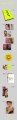 images.jpeg