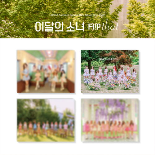 album-loona-flip-that.png