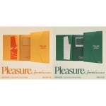 Treasure - Pleasure